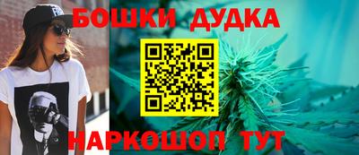 индика Северобайкальск