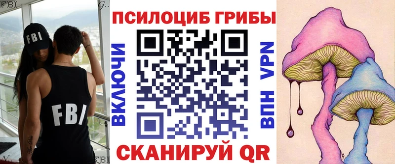 что такое   Спасск-Дальний  Галлюциногенные грибы Cubensis 