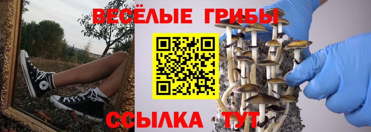 Галлюциногенные грибы MAGIC MUSHROOMS  Вход с VPN  Спасск-Дальний 